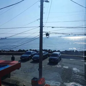 갈매기횟집 리뷰 사진