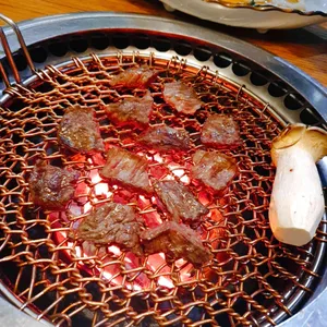 돈가 사진