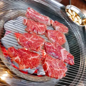 황소야 사진