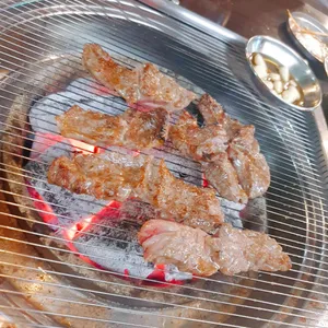 황소야 사진