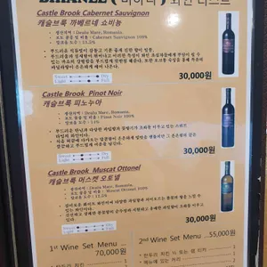 비하니 리뷰 사진