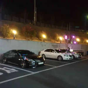 품장 리뷰 사진