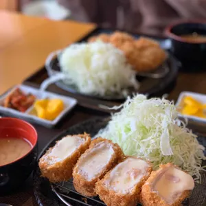이끼이끼 사진