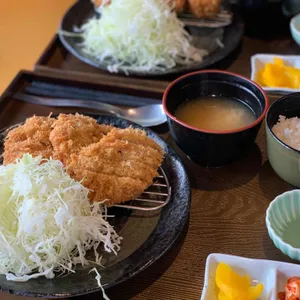 이끼이끼 사진