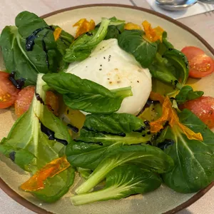 코르바니 리뷰 사진