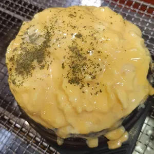 게르 사진