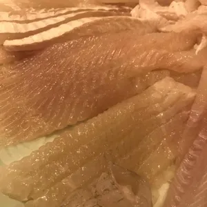 신포항횟집 사진