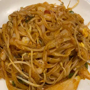 포메인 사진