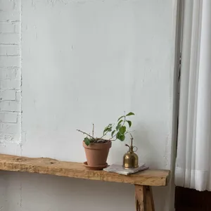 무니 리뷰 사진