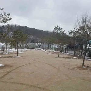 땡스티628 리뷰 사진