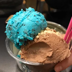 WAYO 사진