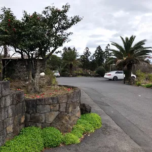 오전열한시 리뷰 사진