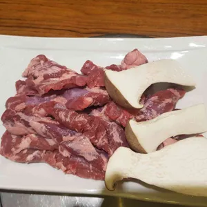 송도갈매기 사진