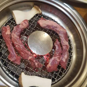 송도갈매기 사진