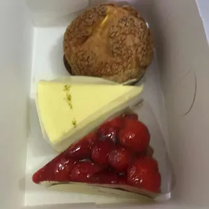 한스 사진