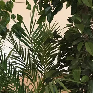 오누이 리뷰 사진