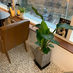 카페 러슬 리뷰 사진