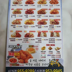 네네치킨 리뷰 사진