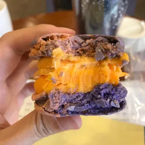 마카롱팝 사진