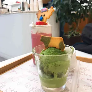 데일리오아시스 사진