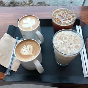 갤러리안 사진