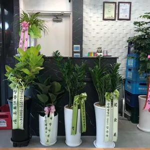 이화 리뷰 사진