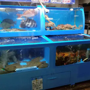 머구리 리뷰 사진
