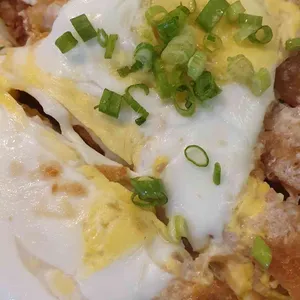 키츠네 사진