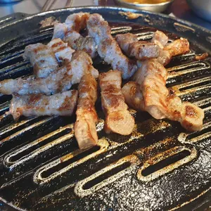 신마포갈매기 사진