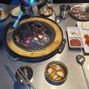 신마포갈매기 사진