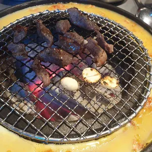 신마포갈매기 사진