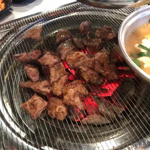 갈매기야 사진