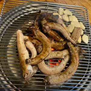 꼼박사 사진