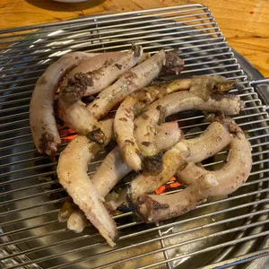 꼼박사 사진