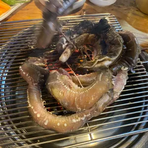 꼼박사 사진