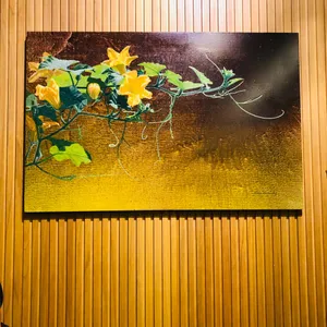 모이 카페 리뷰 사진