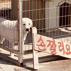 춘천장어마을 리뷰 사진