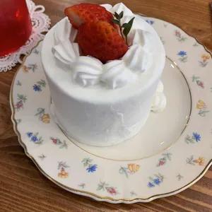 로지네 사진