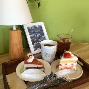 자유정거장 사진