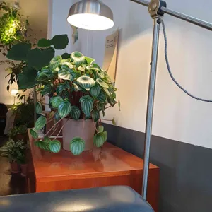 RADIANT 리뷰 사진