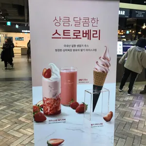 폴바셋 리뷰 사진