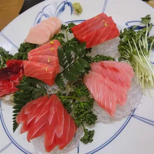 카리브참치 사진