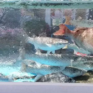 팔도전복해물 리뷰 사진