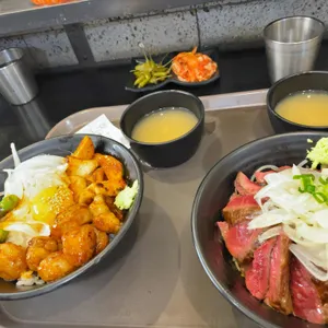 홍대개미 사진