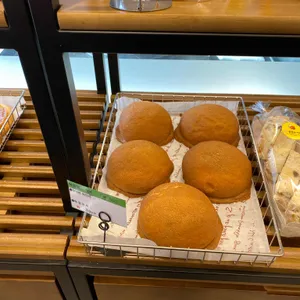꿀벌의아침 사진