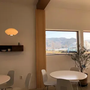 단편 리뷰 사진