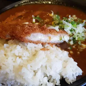 아비꼬 사진