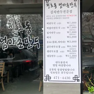 엄마손만두 리뷰 사진