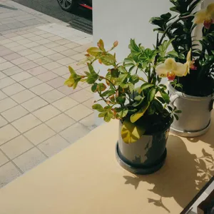 더빈마켓 리뷰 사진
