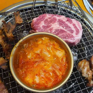 허니피그 사진